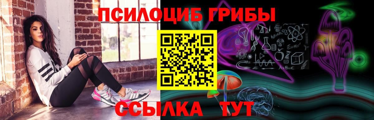 Псилоцибиновые грибы Psilocybe Октябрьский